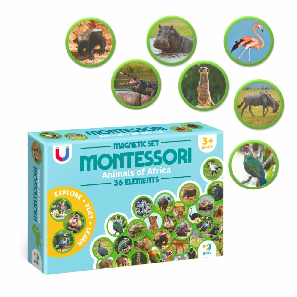 MONTESSORI SET MAGNETA ZIVOTINJE AFRICKOG KONTINENTA