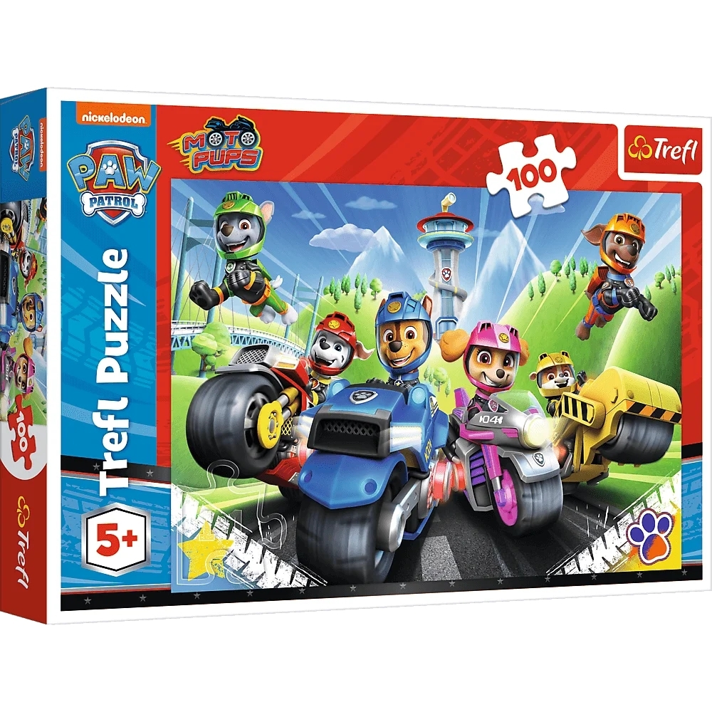 PUZZLE 100 PAW 16430 103314